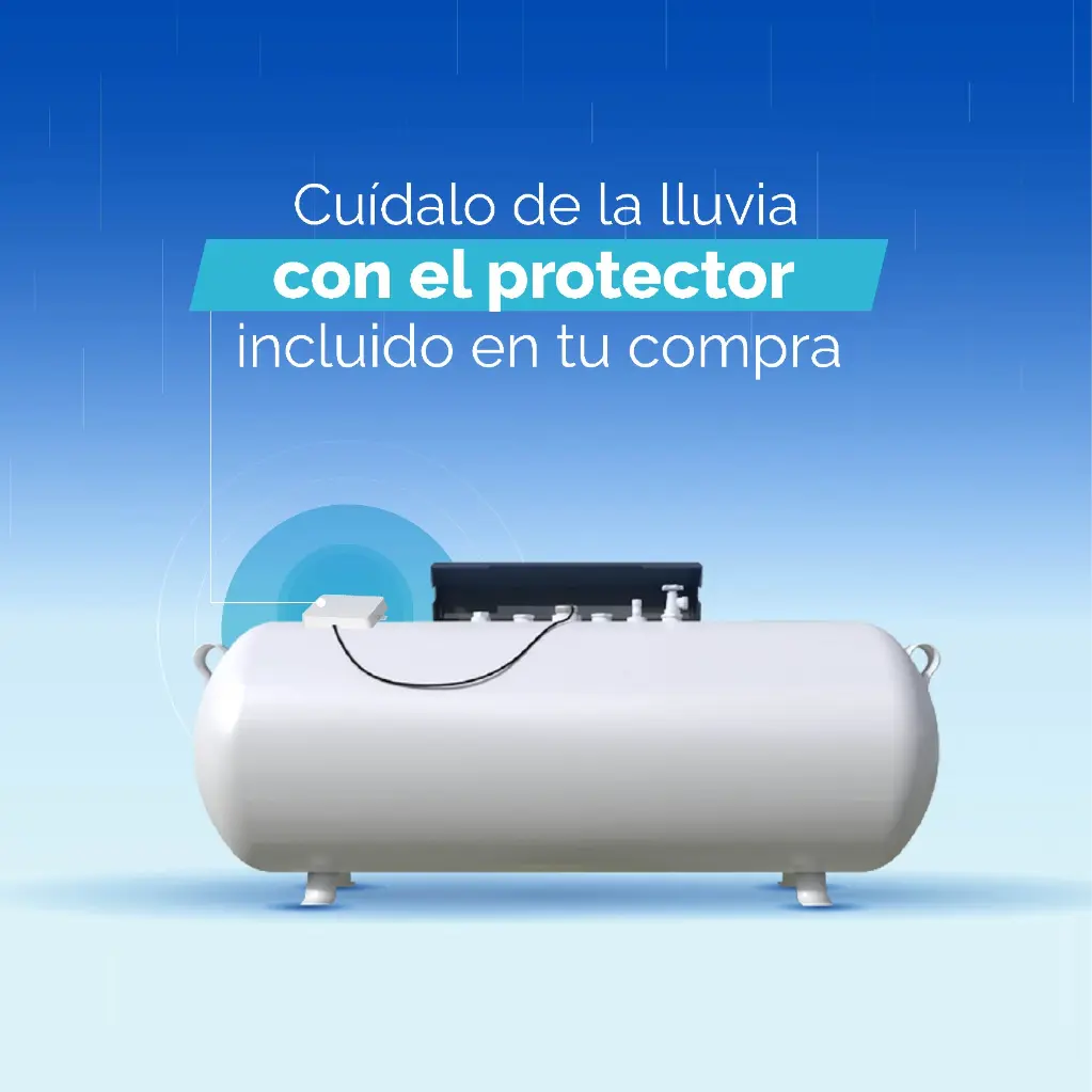 CARRUSEL ISENTINEL 2025-05.webp